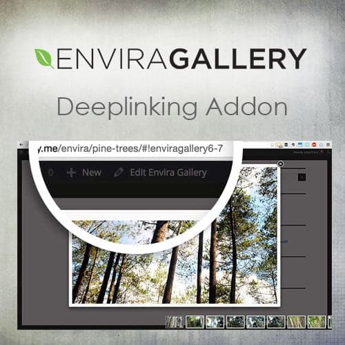 Envira Gallery – Deeplinking Addon - Theme Plugin BD