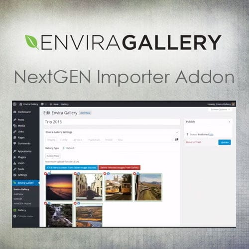 Envira Gallery – NextGEN Importer Addon - Theme Plugin BD