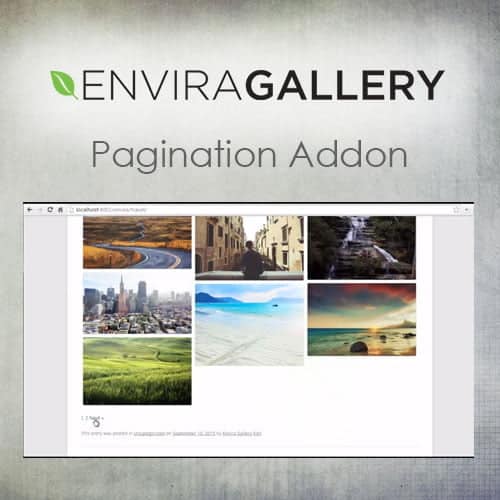 Envira Gallery – Pagination Addon - Theme Plugin BD
