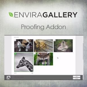 Envira Gallery - Theme Plugin BD
